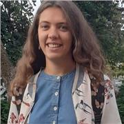 Je donne des cours de niveaux primaire, collège et lycée en mathématiques, français, anglais, histoire, économie